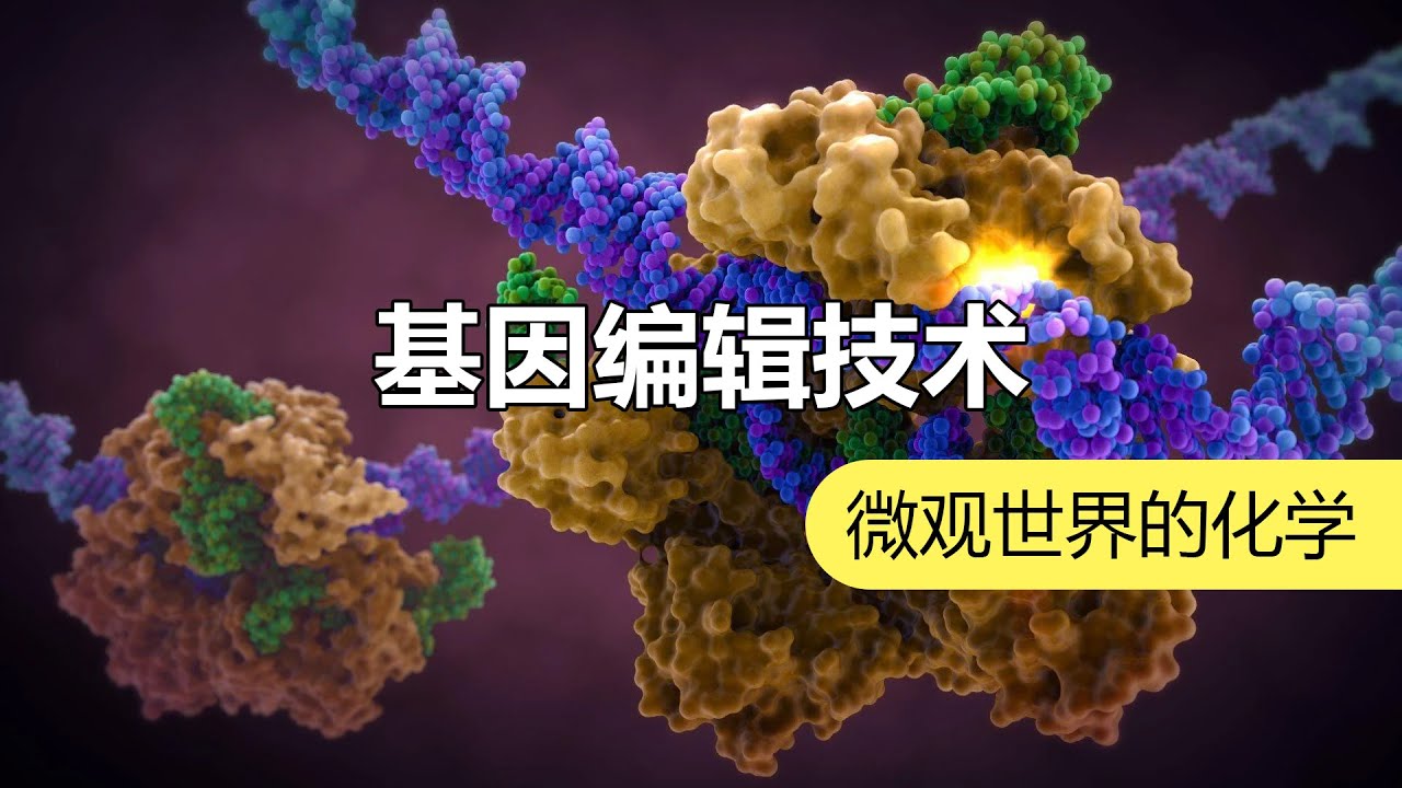 如何先天免疫艾滋病：诺贝尔化学奖告诉你答案 | 化学有故事2