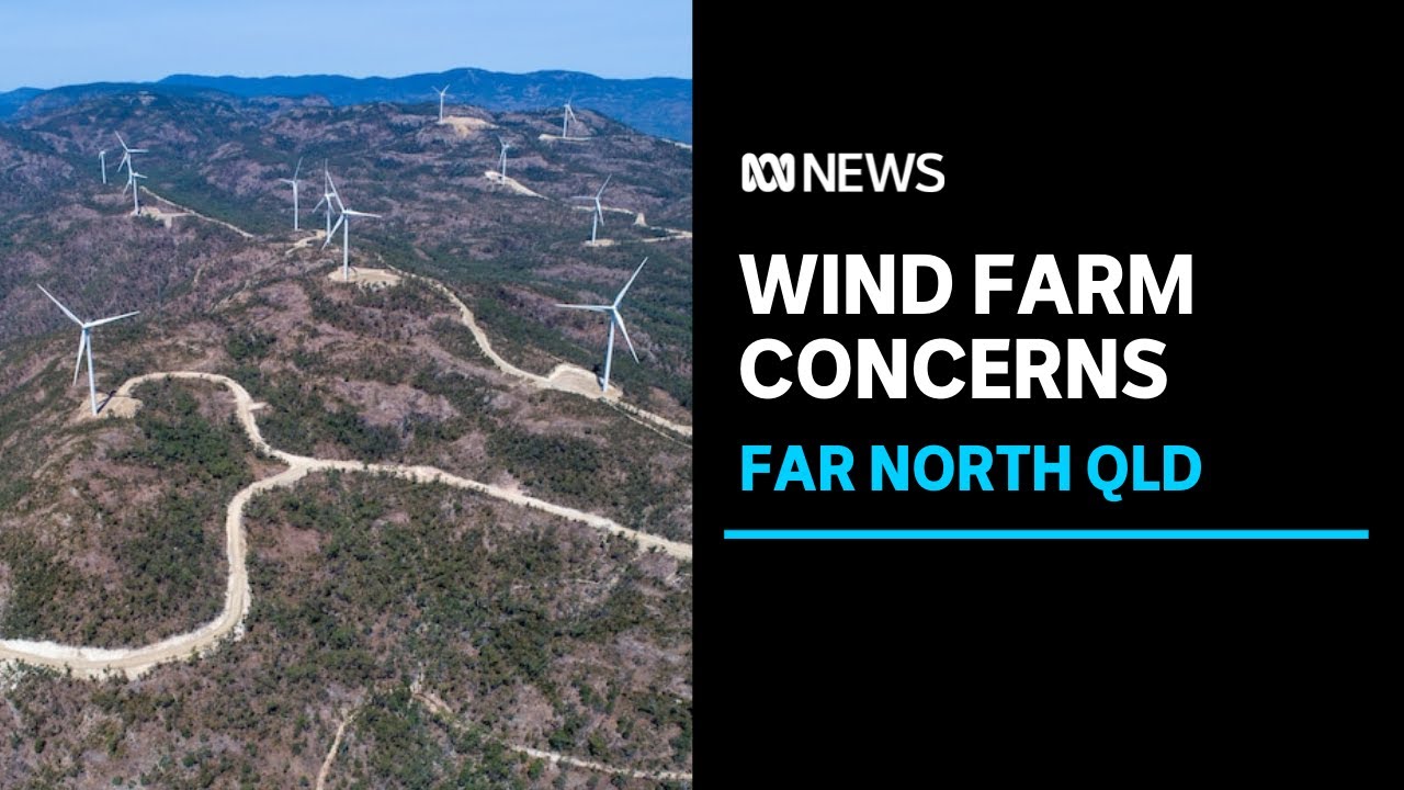 Fears renewable energy projects could turn FNQ's rainforest into 'industrial wasteland' | ABC News