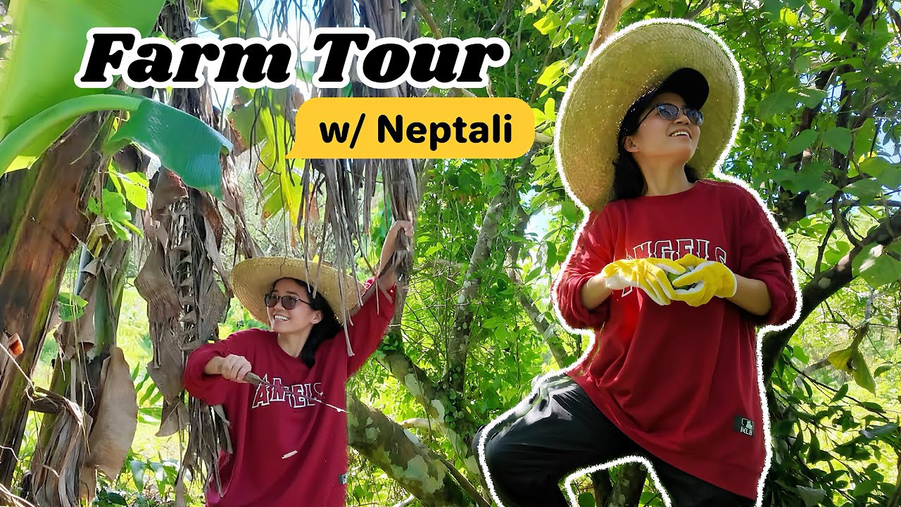 Neptali Farm