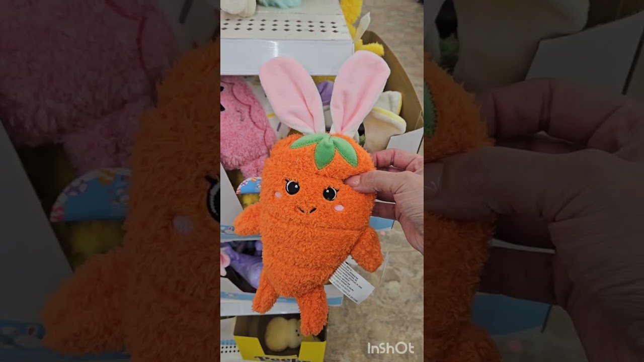 Dollar Tree Walk Through