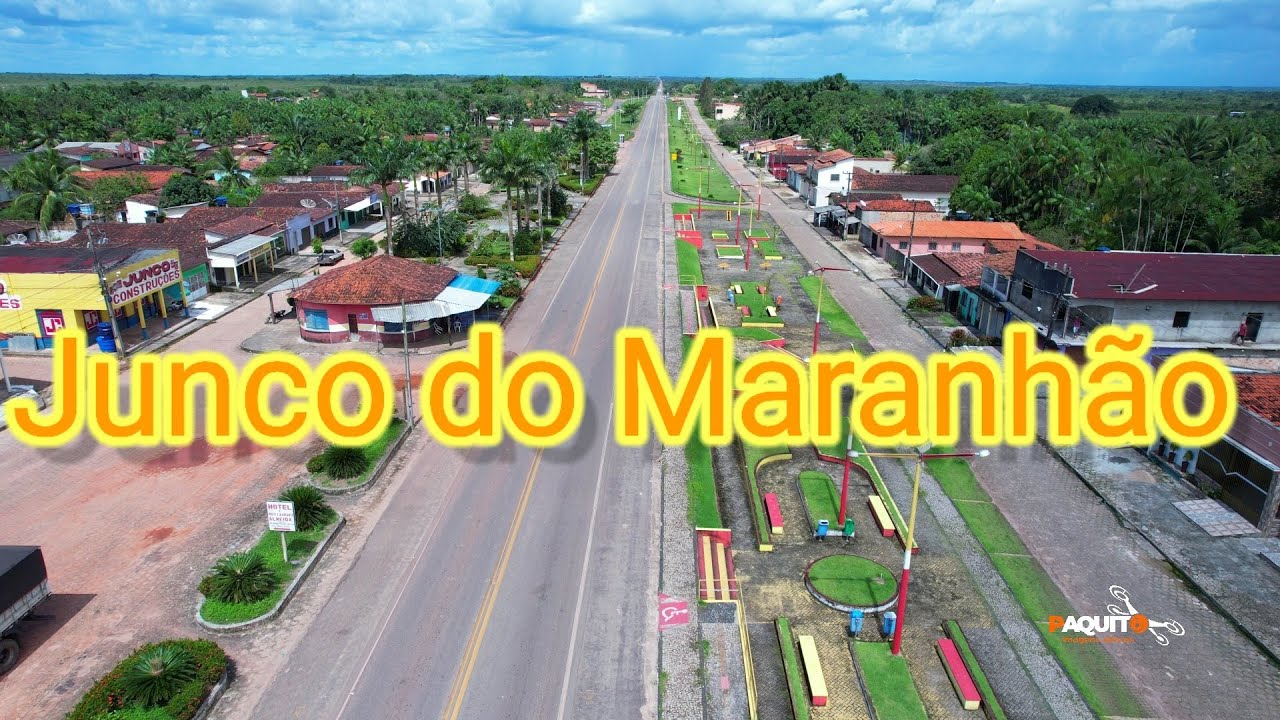 Junco do Maranh&atilde;o