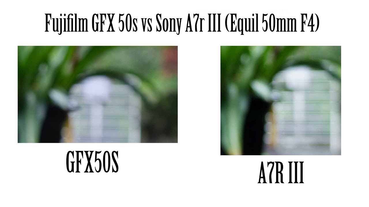 [UR] Sony A7R III | Gfx 50s | Test perbandingan