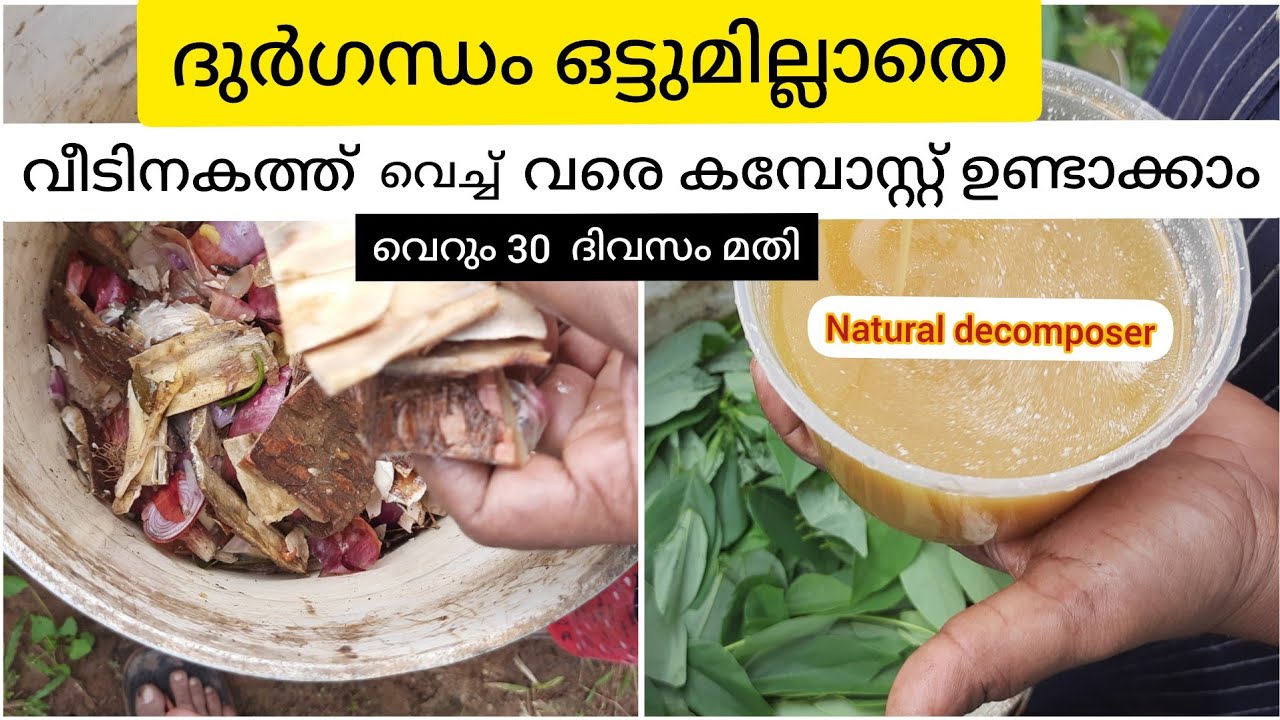 ഒട്ടും ദുർഗന്ധം ഇല്ലാതെ| വീടിനകത്തും ഉണ്ടാക്കാം| വെറും 30 ദിവസം മതി|Organic compost
