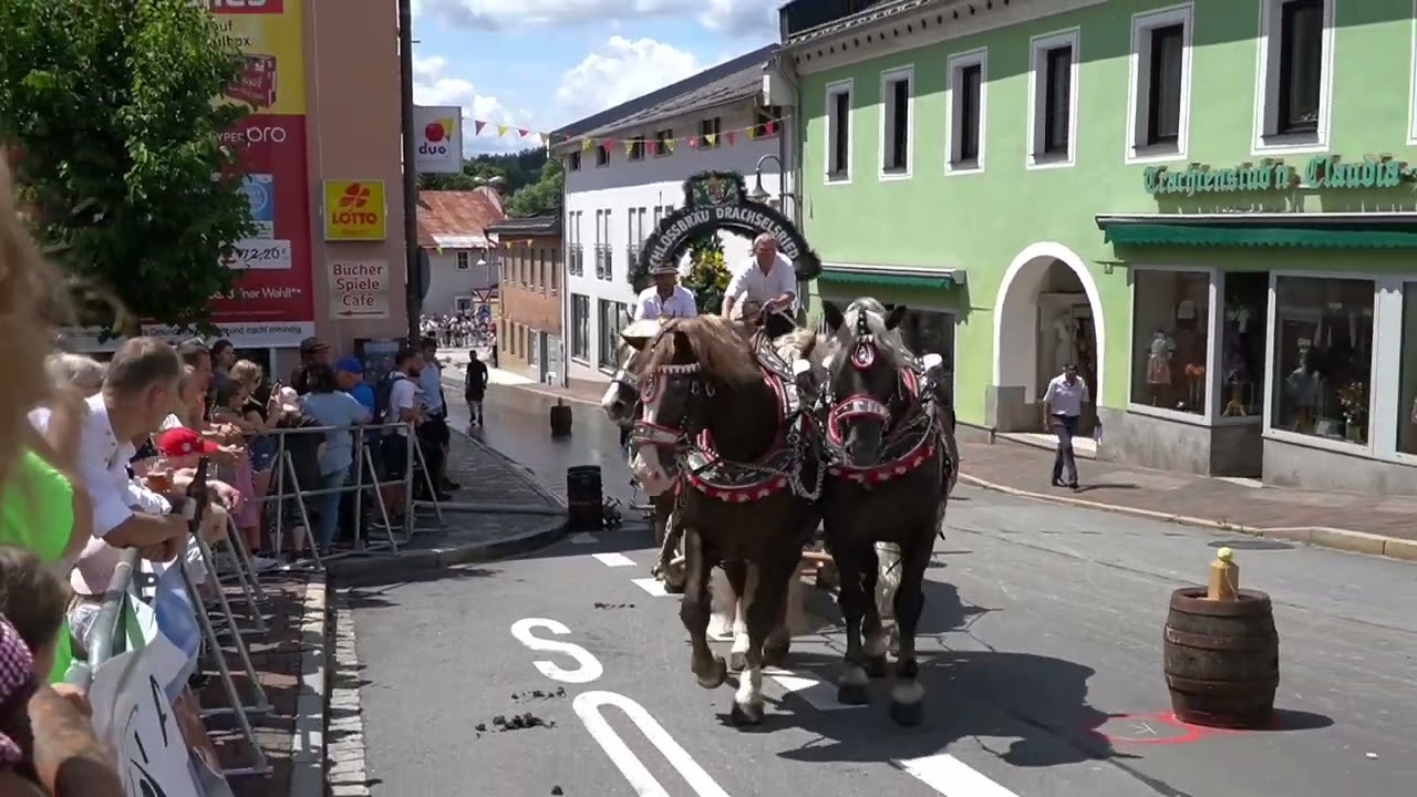 Brauereiwagen Geschicklichkeitsfahren, Zwiesel, 14.8.2024
