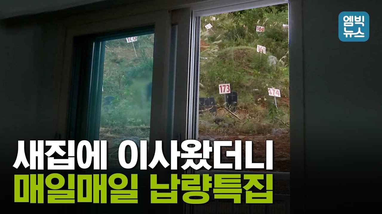 [엠빅X바로간다] 창문을 열었더니 공동묘지가 코앞에.. ‘숲세권’이라더니 ‘묘세권’이었다??