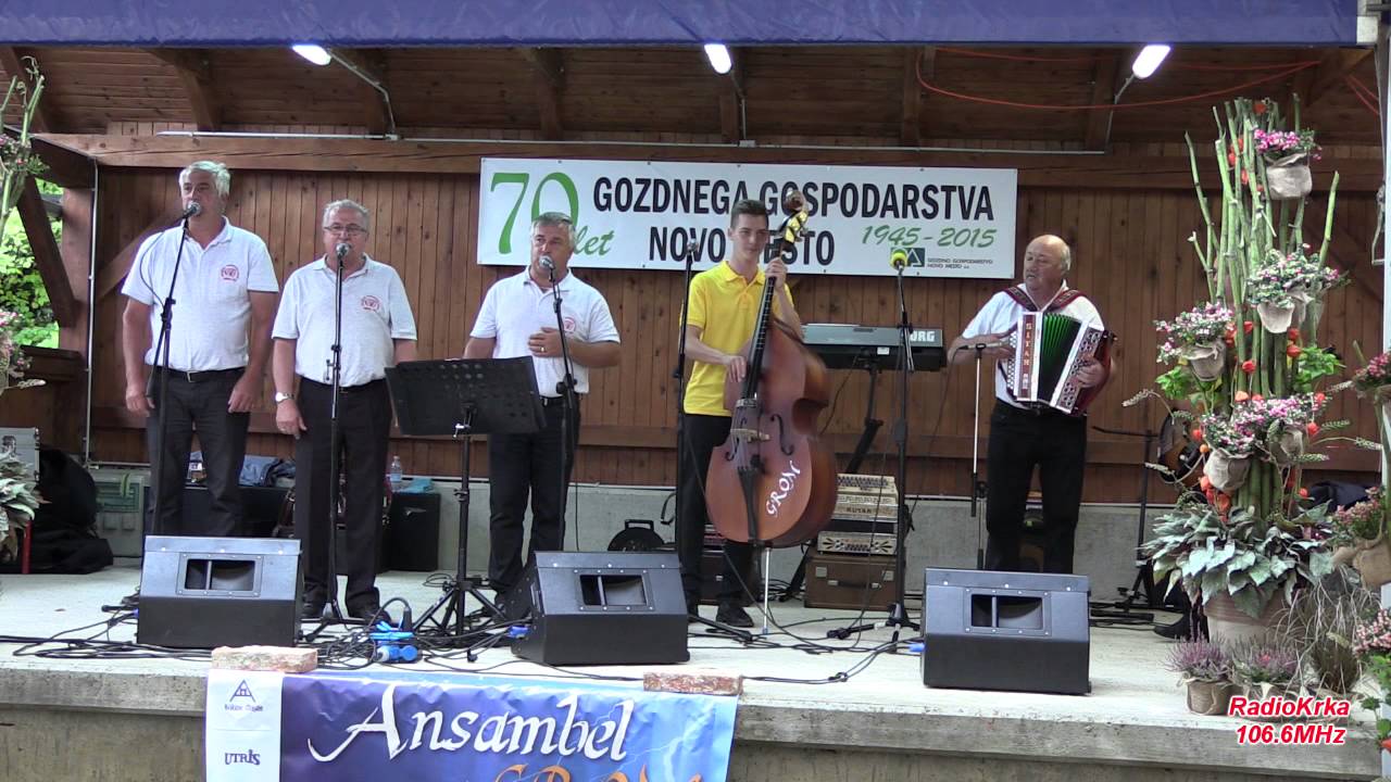 70 let GG Novo mesto 2015
