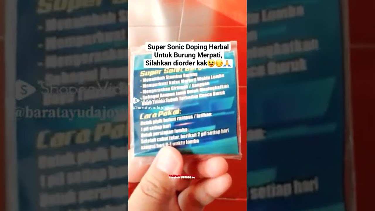 SUPERSONIC DOPING HERBAL UNTUK BURUNG MERPATI