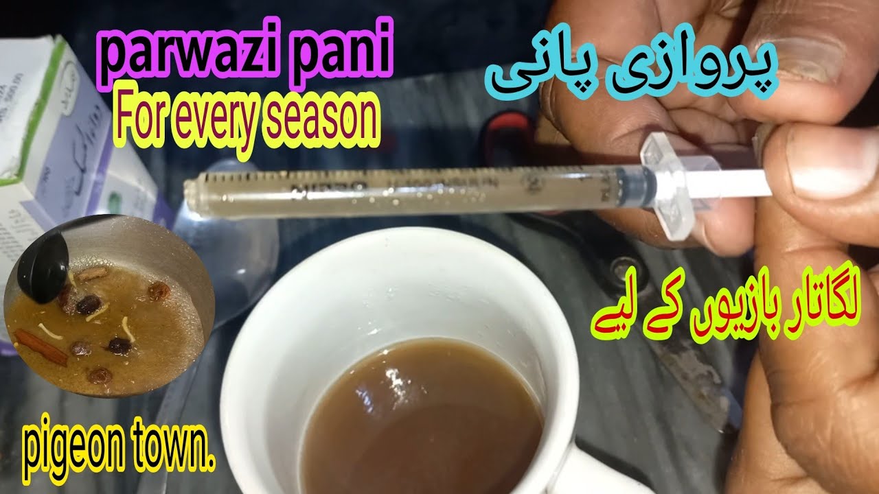 ye parwaz ka pani koi nahi bataye ga || kabootar ka parwazi pani || nuskha parwazi || pigeon town |