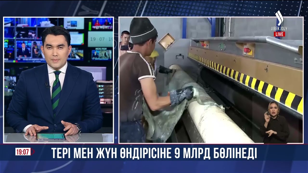 Тері мен жүн өндірісіне 9 млрд бөлінеді | Jibek Joly news