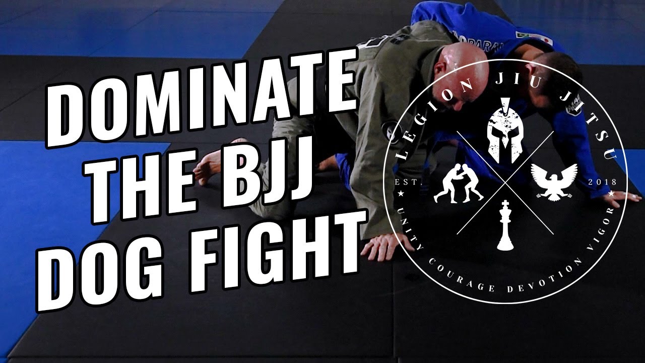 Transition Mastery: From Knee Shield Half Guard to Dog Fight Position