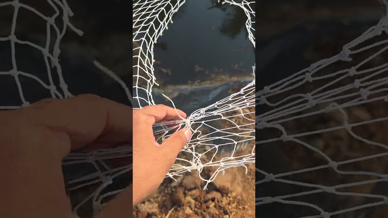 How to install birdsnet fishpond full information? MS FARMER'S 