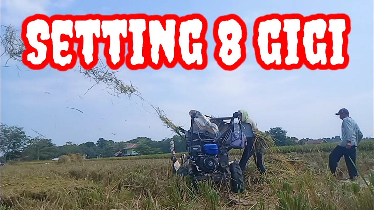 Setting 8 gigi Hasil Padi Bersih dan Jerami Jauh Terlempar
