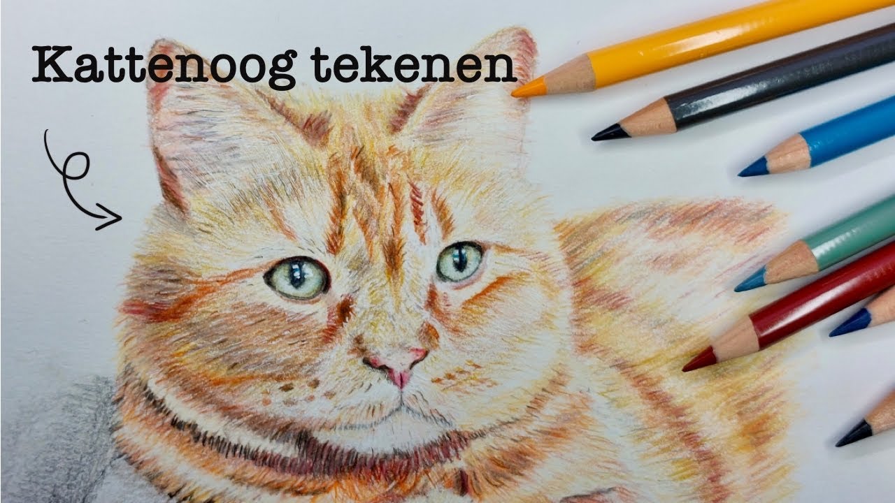 Een KATTENOOG tekenen met KLEURPOTLOOD | Tutorial #12