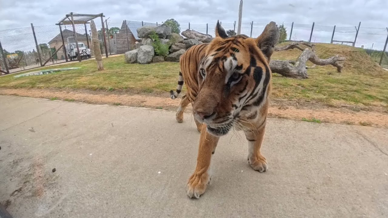 Wolds Wildlife Park, Horncastle