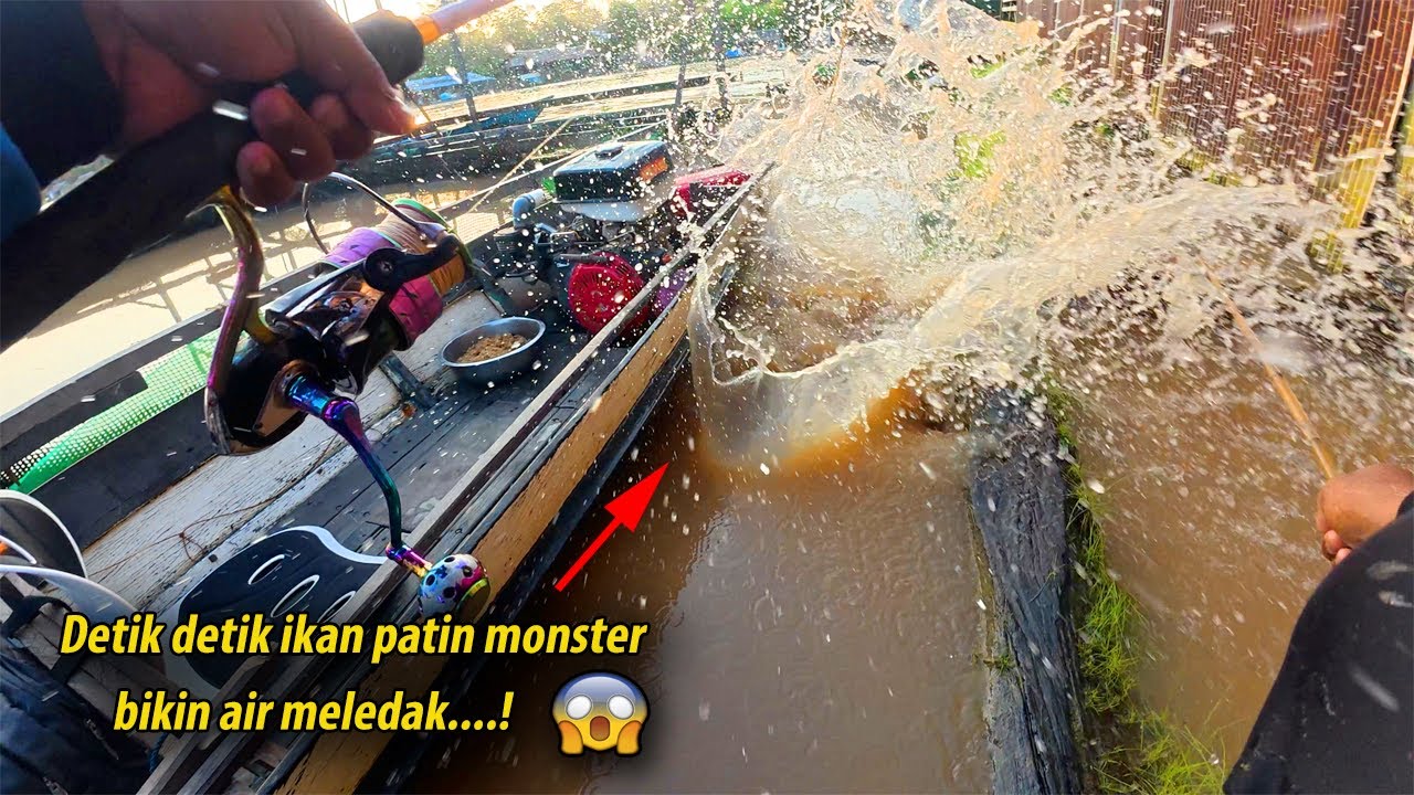buah kesabaran hari ini ‼️ mancing ikan patin monster di samping rumah Apung