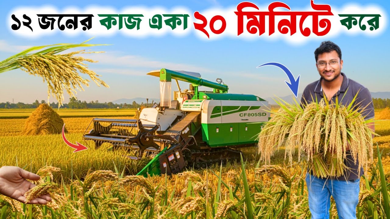 ৩ দিনের কাজ হবে ২০ মিনিটে || Changfa Paddy Harvester in West Bengal || ধান কাটার মেশিন - 7439114419