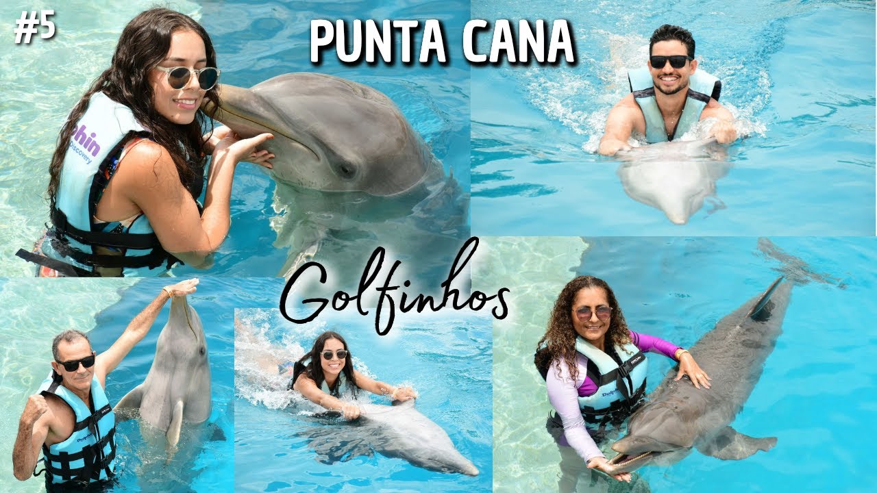 Nadei com Golfinhos em Punta Cana | Experiência Inesquecível no Paraíso! | PUNTA CANA DIA 5