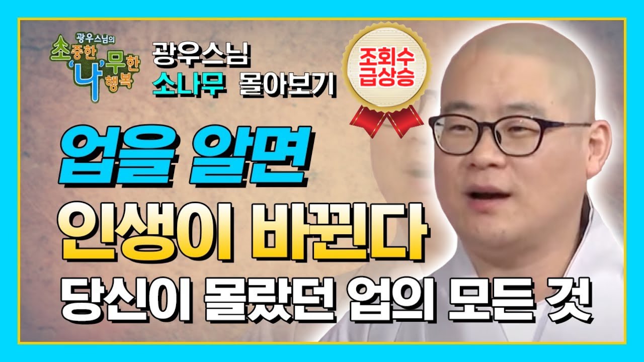 광우스님 : 도대체 업이 무엇이길래, 인생 고비마다 발목을 잡을까 - 당신이 몰랐던 업의 모든 것