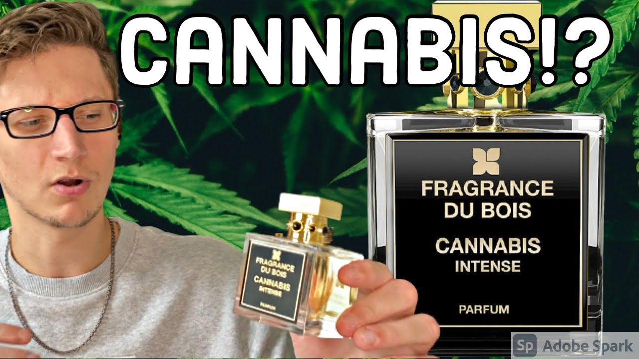 Аромат Du Bois Cannabis Intense (обзор аромата!)
