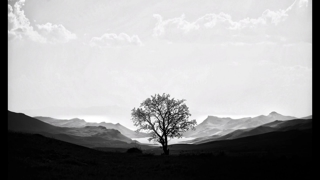 DML - Resurgir