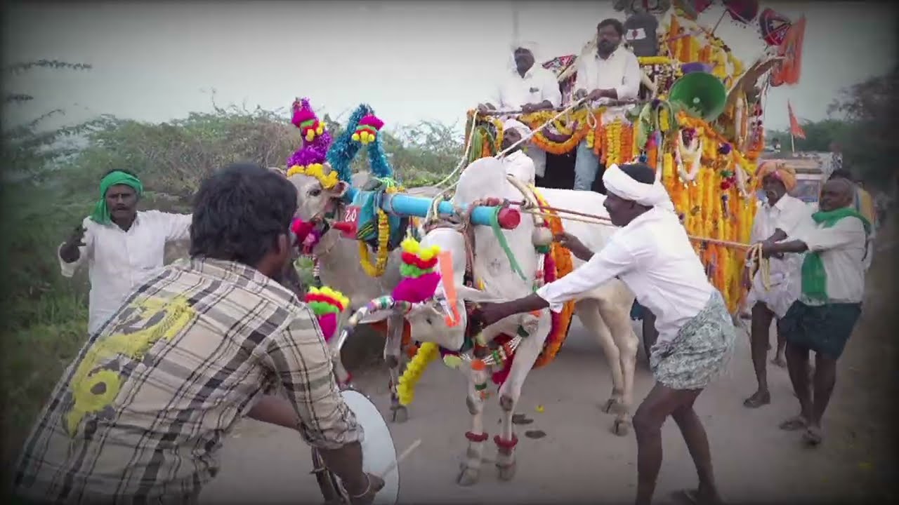 Veera Narayana swamy parasa 2026..Ralla Anantapuram 2026 