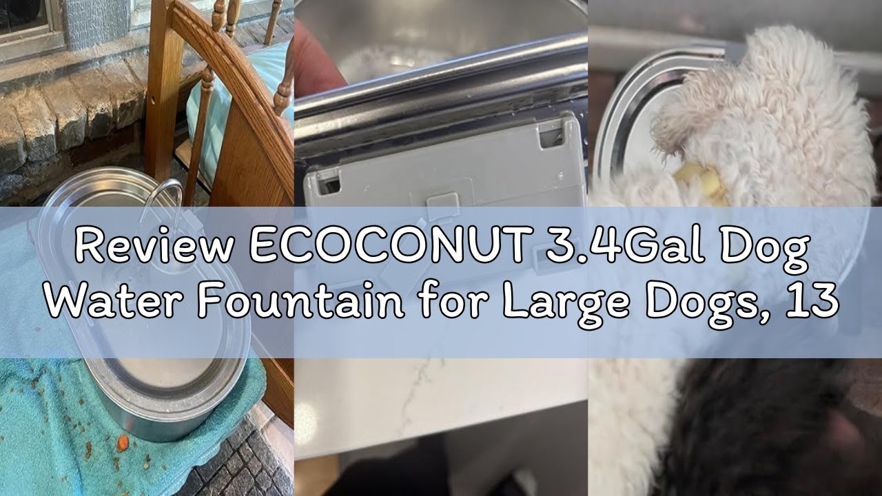 Review ECOCONUT 3.4Gal Dog Water Fountain for Large Dogs, 13L Stainless Steel Large Pet Fountain wit