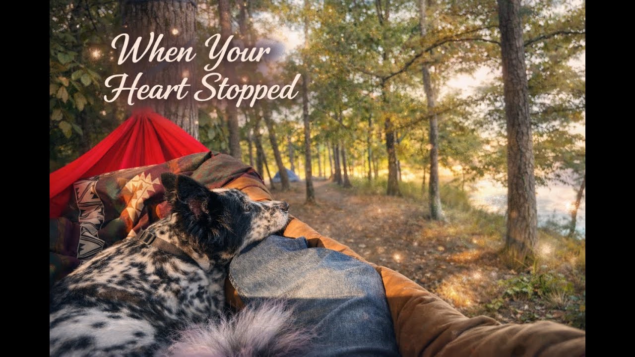 When Your Heart Stopped