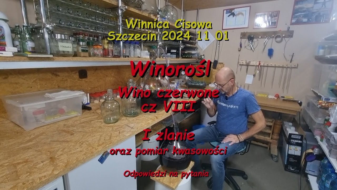 WINOROŚL - WINO CZERWONE cz. VIII ( I zlanie) - Winnica Cisowa 2024 11 01