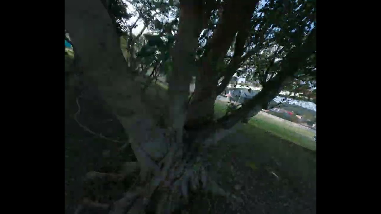 I Tried Flying Smooth but Flew Stupid Cinelog 35 Indoor Analog FPV Smoke Gaps Evil GoPro RAW LOG Pro