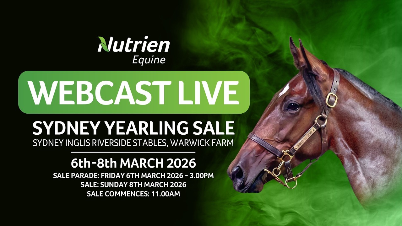 Nutrien Standardbreds  Sydney Sale 2026