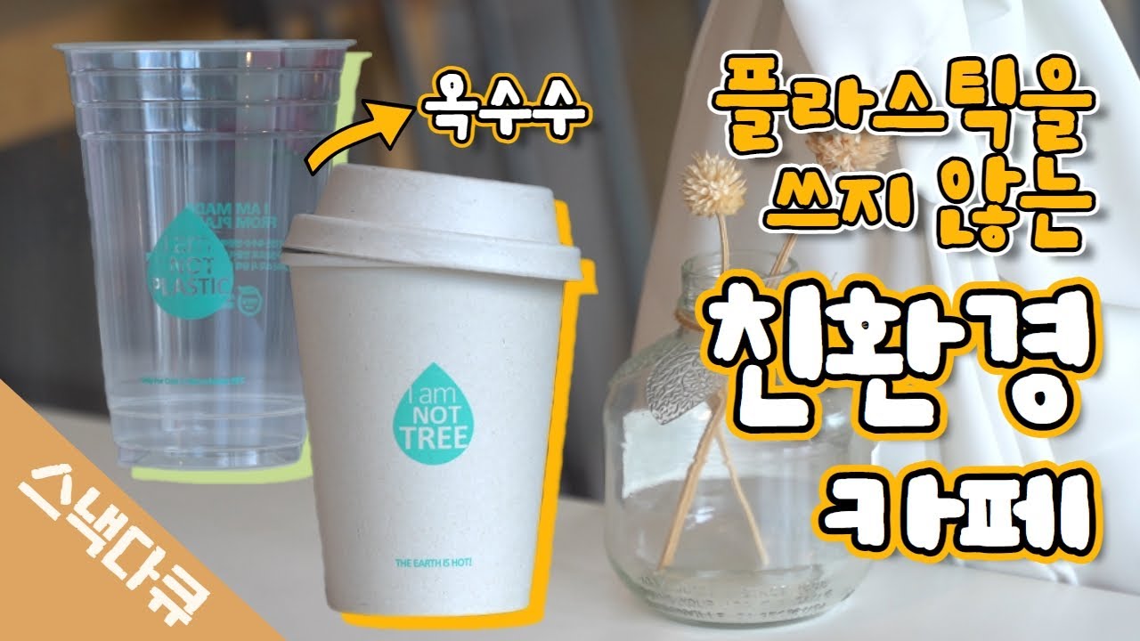 노플라스틱 ! 친환경 제품 사용하는 카페 [스낵다큐 03]