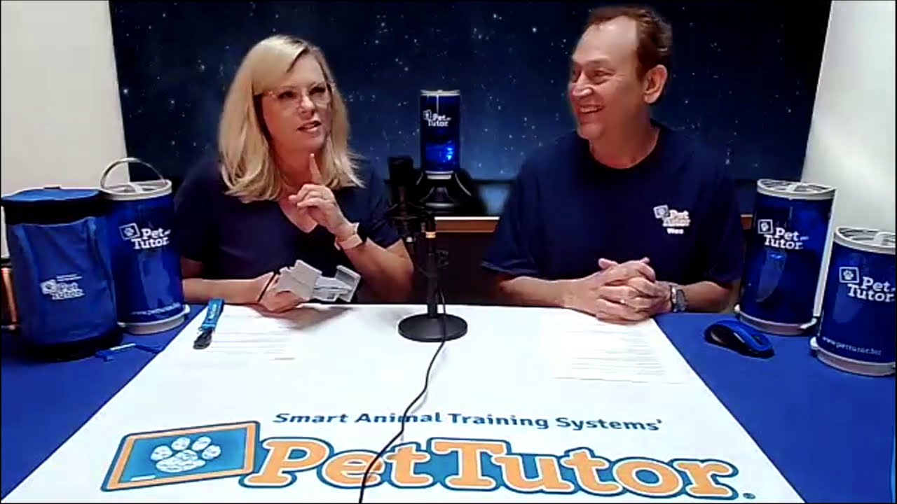 Overview: Why Pet Tutor? Applications and Unique Features