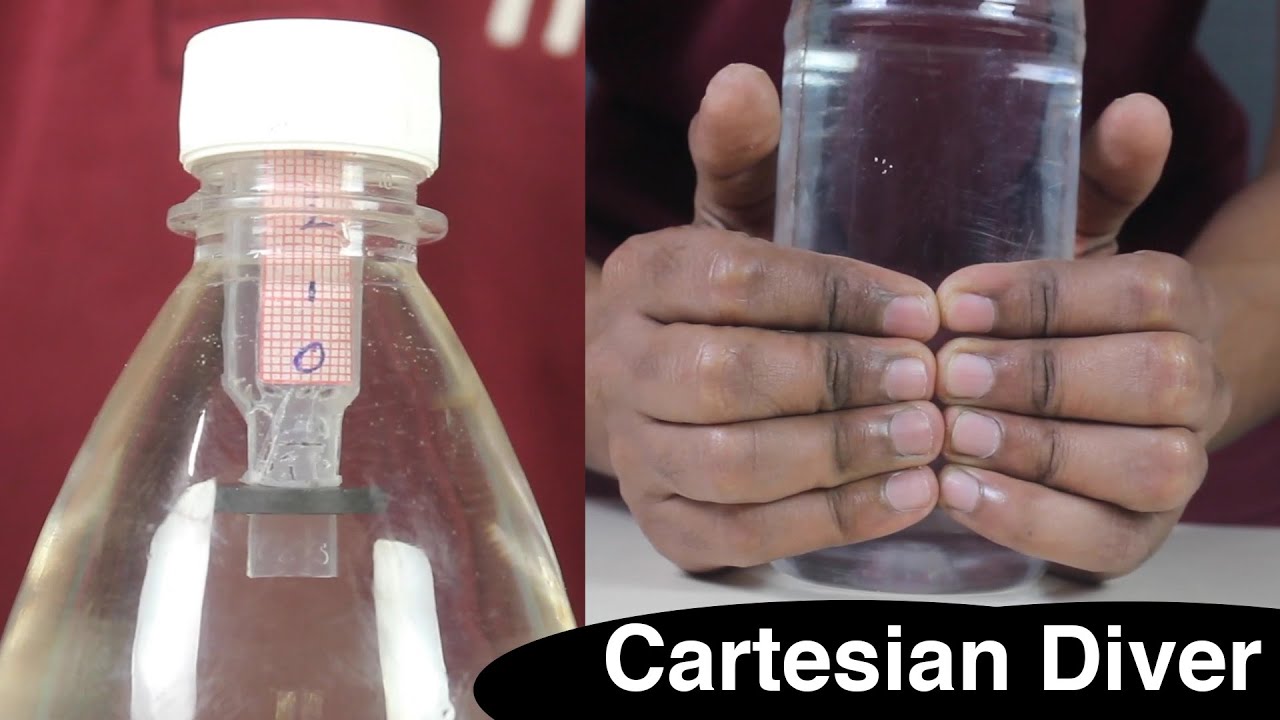 Cartesian Diver | ThinkTac | DIY Science