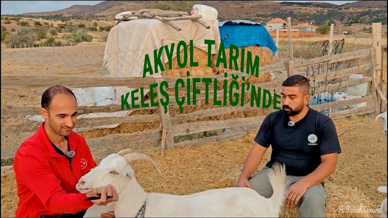 AKYOL TARIM OLARAK KELEŞ ÇİFTLİĞİNE MİSAFİR OLDUK...