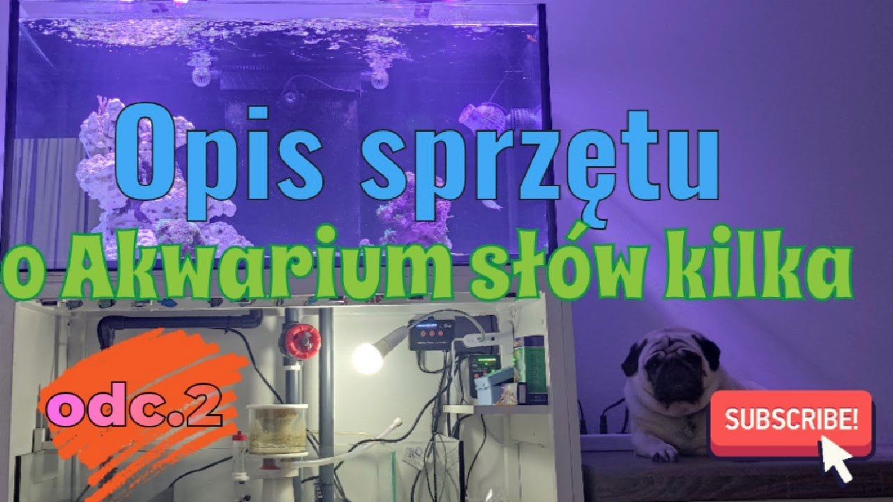 #2.Akwarium Morskie 250 - Opis sprzętu ,o akwarium słów kilka #maxspect #aquaforest #akwarystyka