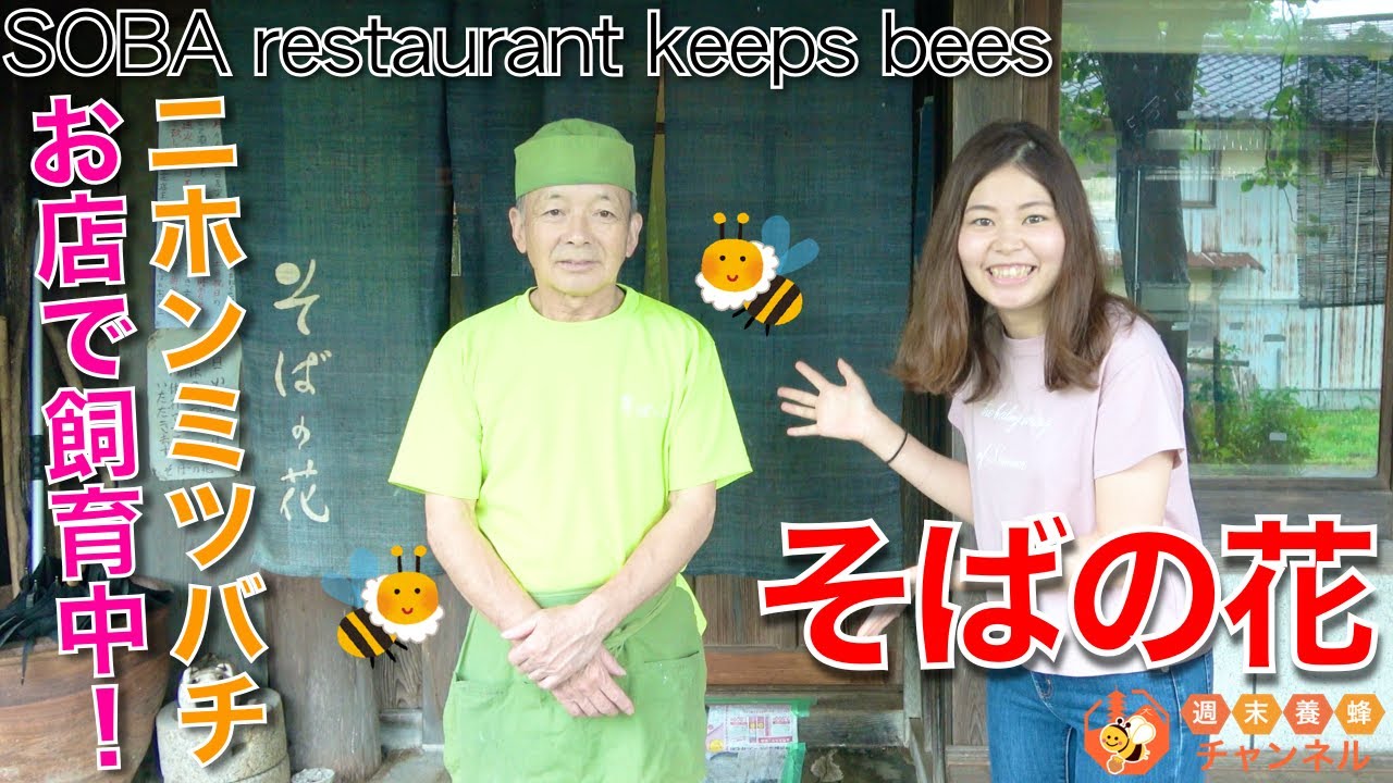 ニホンミツバチがいるお蕎麦屋さん【そばの花・京都府綾部】