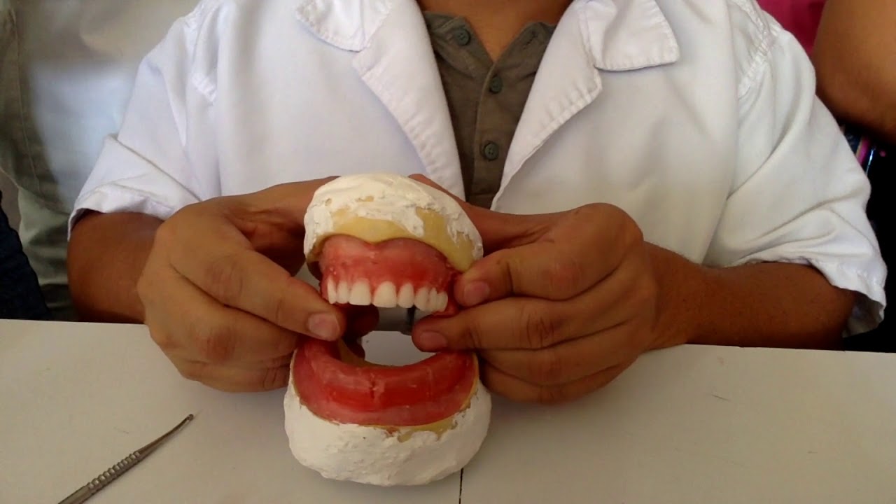 Enfilado dientes artificiales numero 1