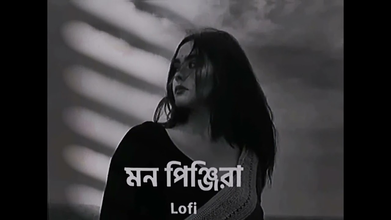 Lofi. Song...মন পিঞ্জিরায় #capcut #oldisgoldsong #lofimusic #montage