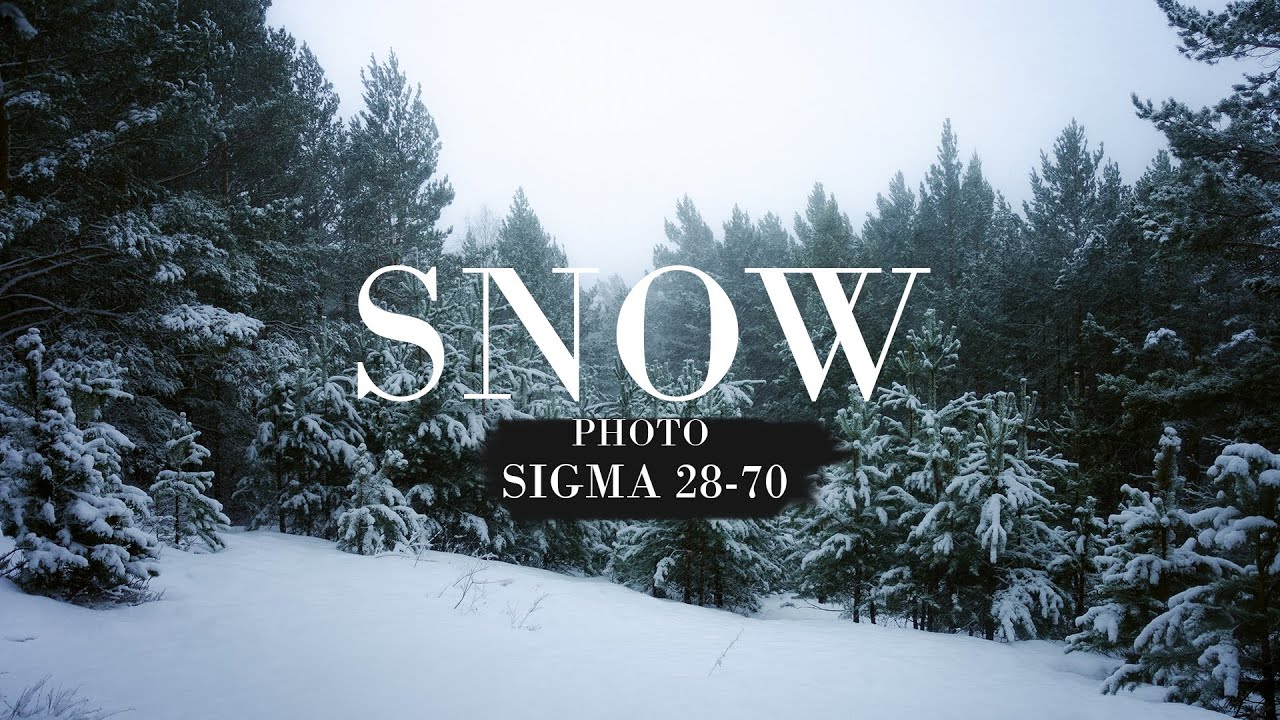 Фотография от первого лица / Cнежный лес / POV street photography / Sony a7c Sigma 28-70 [Ep 4]