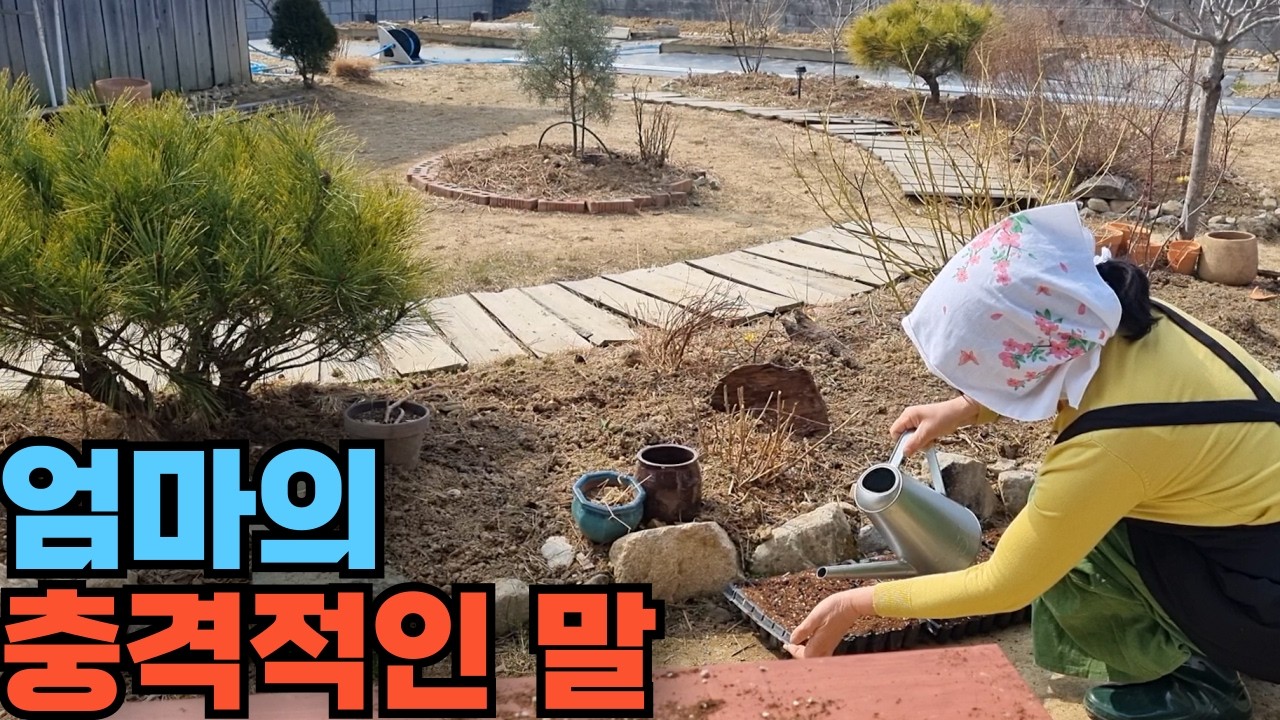 엄마의 그 말이 잊혀지지 않습니다