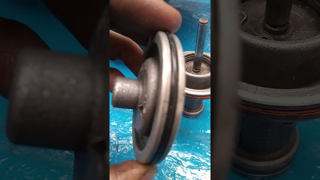 Servos y Bandas