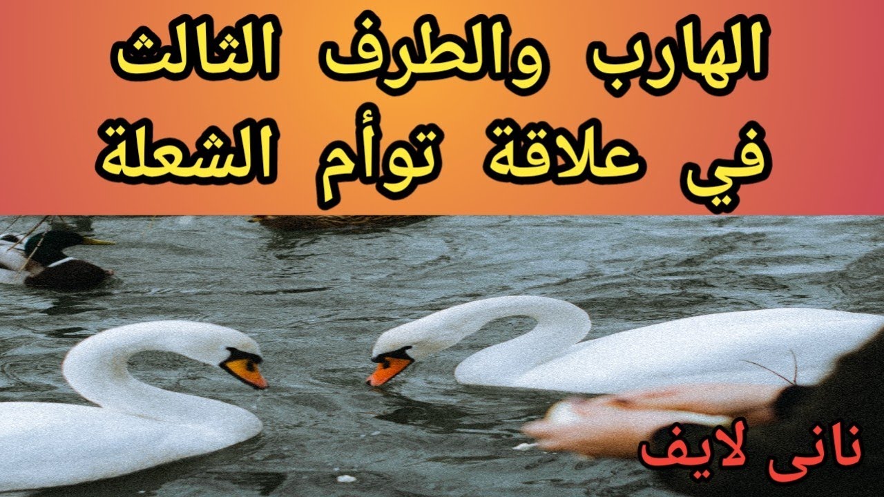 الهارب والكارمات المتتالية للطرف الثالث فى #علاقة_توأم_الشعلة#twinflame
