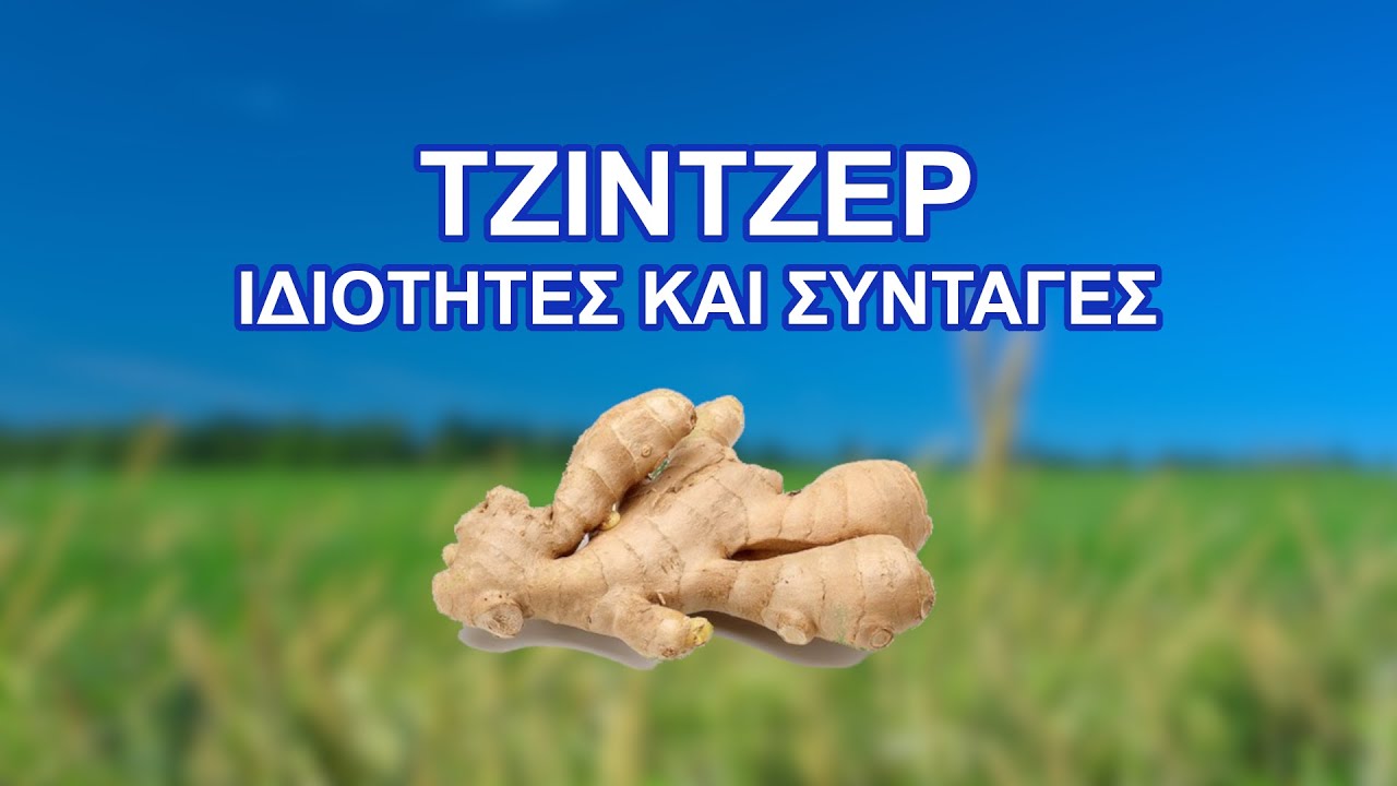Ginger - Πιπερόριζα -  Ιδιότητες και Συνταγές