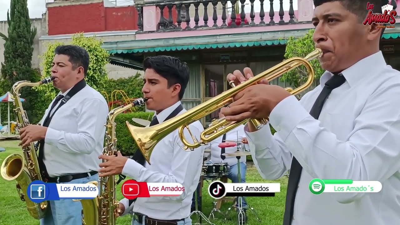 Los Amados - Perdóname Vida Mía  (En memoria de Pedrito) 🕊❤️