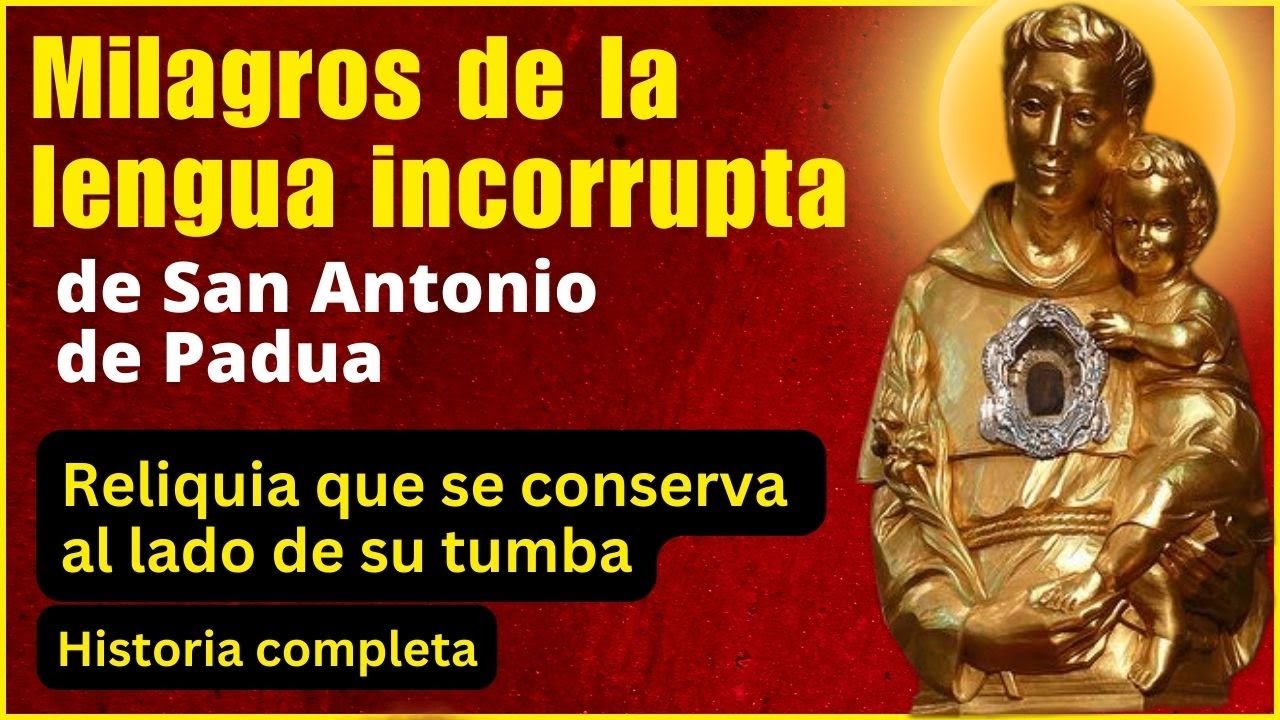 ❣️😲 Milagros de la Lengua INCORRUPTA de San Antonio @MiAmigoSanAntonio