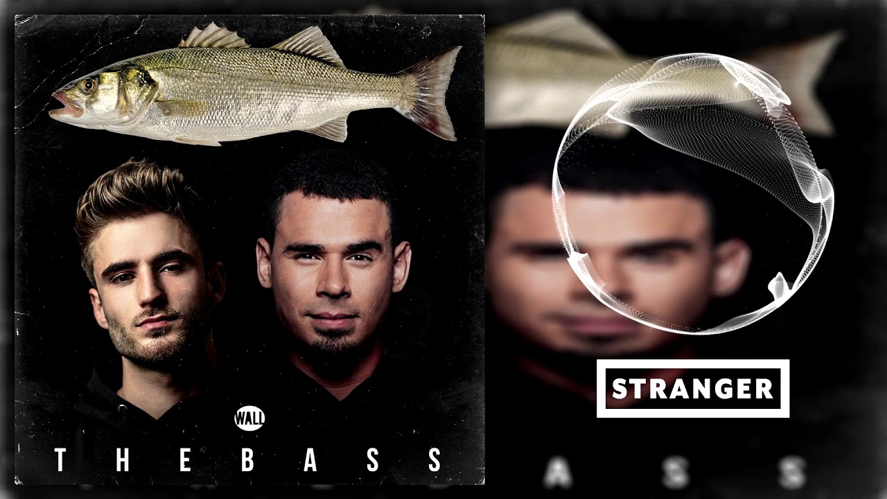 Afrojack & Chico Rose - The Bass&nbsp;(Extended Mix)