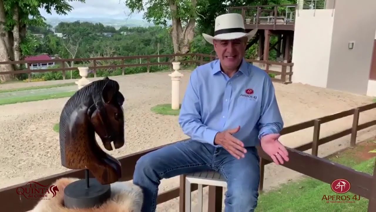 Relincho #34 La Fleccion del cuello y su efecto en el Caballo!