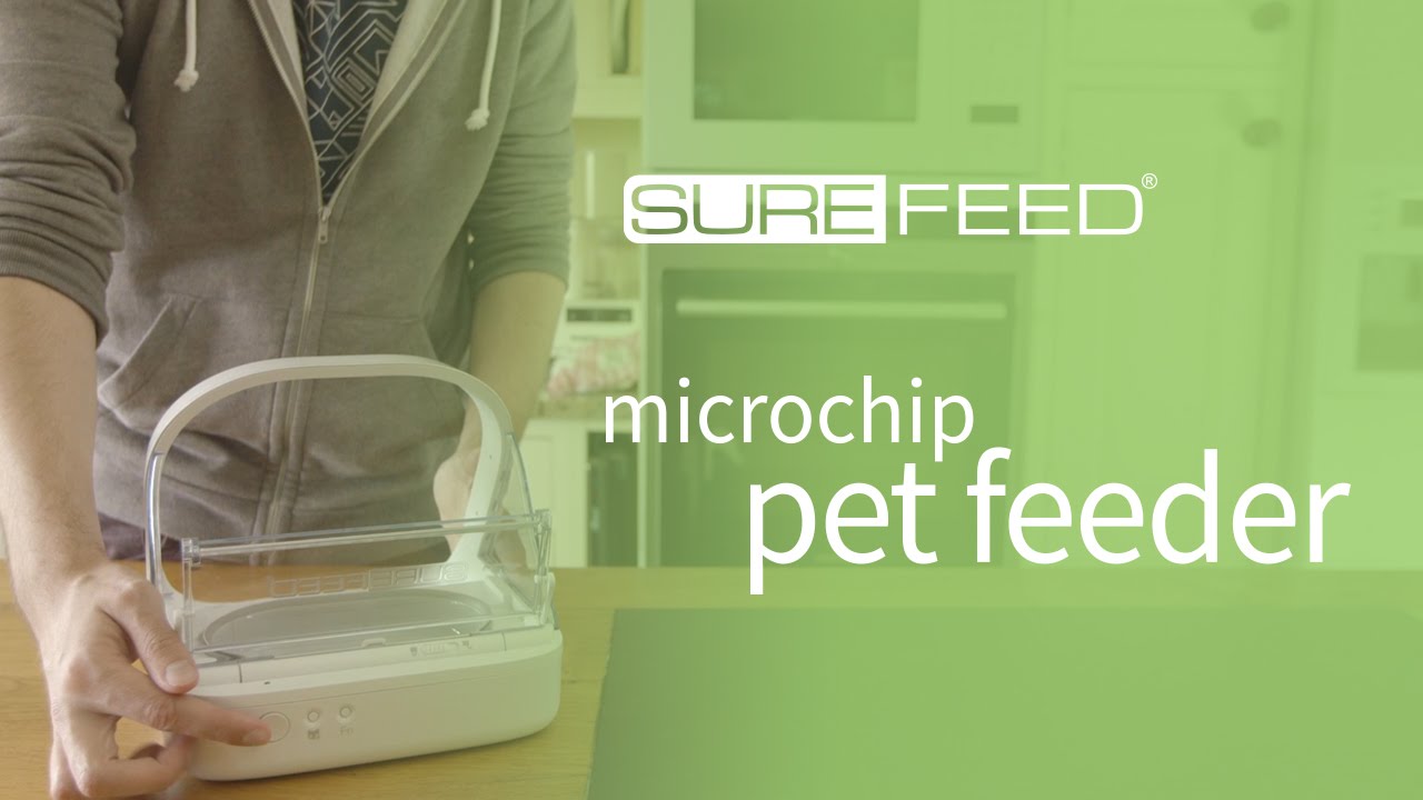 Setting Up the SureFeed Microchip Pet Feeder
