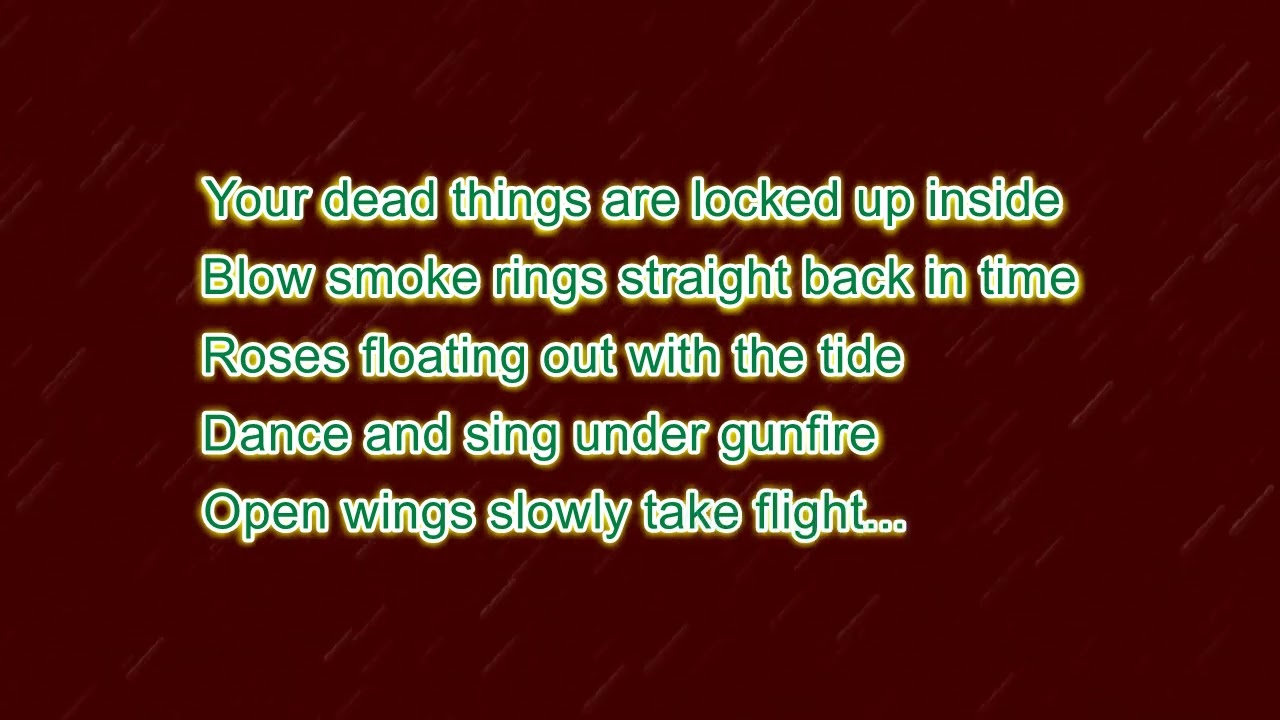 The Dillinger Escape Plan - When Good Dogs Do Bad Things(Karaoke)