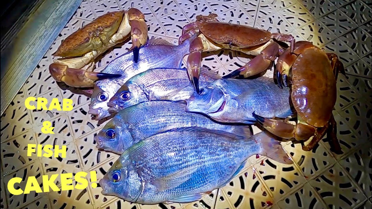 CRAB & FISH Cakes ! Tasty Seafood - Boat Fishing And Crab Pots
